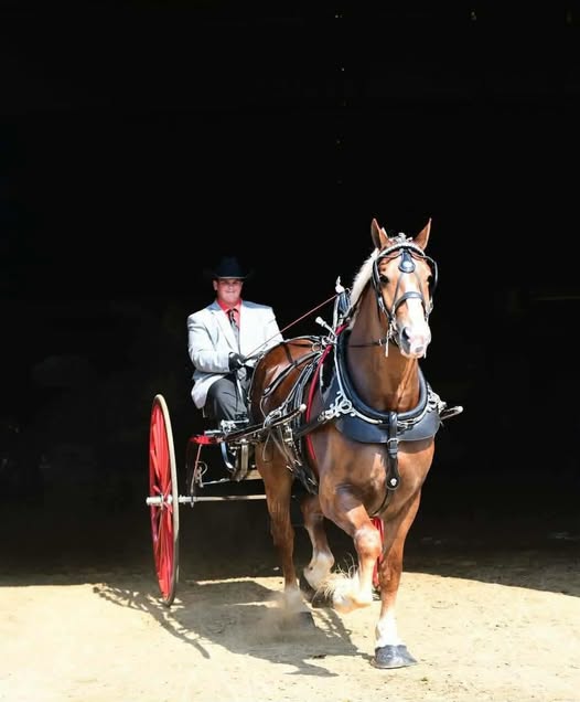 Josh Armstrong Obituary, Car Accident; Triple-Fatal, Fiery Crash on SR 49 Claims Lives of Greenville Man, Medical Transport Driver